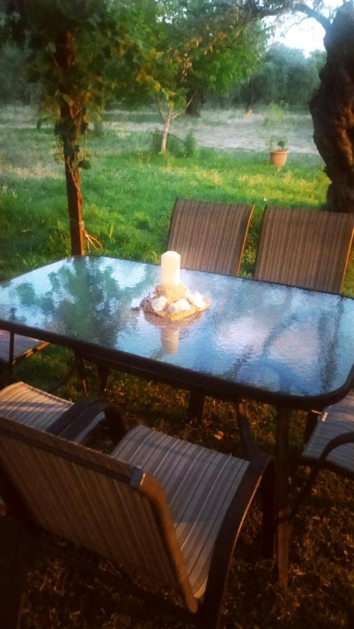 Villa Thomi Skala Rachoni  Dış mekan fotoğraf