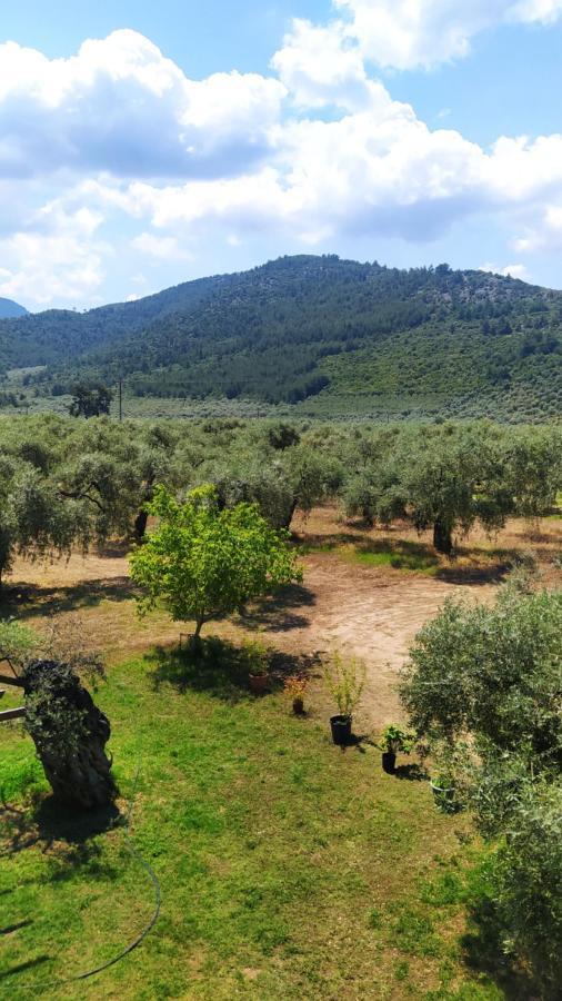 Villa Thomi Skala Rachoni  Dış mekan fotoğraf