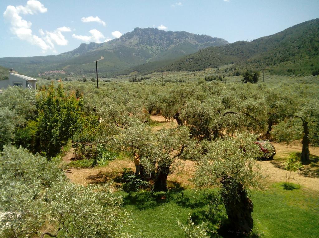 Villa Thomi Skala Rachoni  Dış mekan fotoğraf
