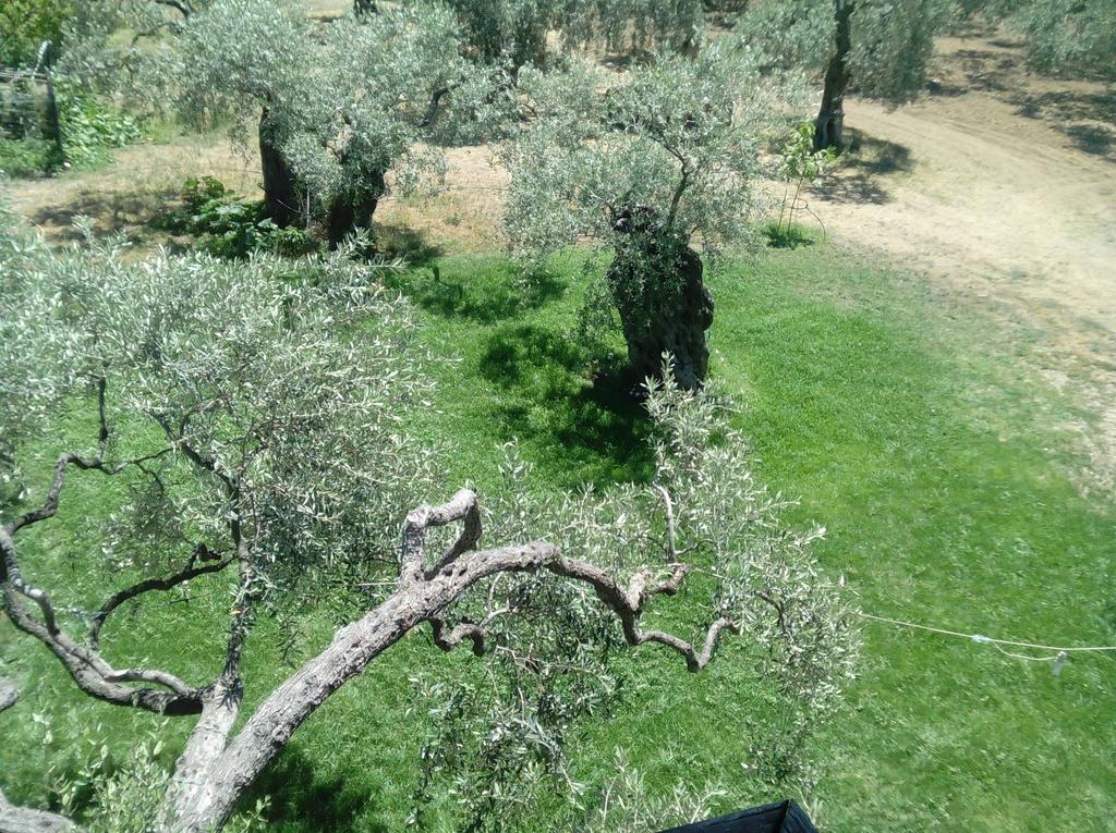 Villa Thomi Skala Rachoni  Dış mekan fotoğraf