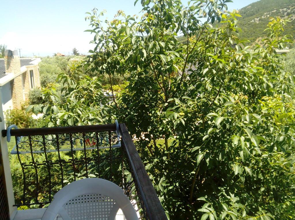 Villa Thomi Skala Rachoni  Dış mekan fotoğraf