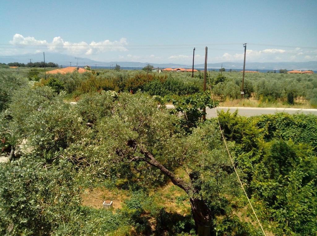 Villa Thomi Skala Rachoni  Dış mekan fotoğraf