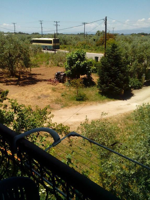 Villa Thomi Skala Rachoni  Dış mekan fotoğraf