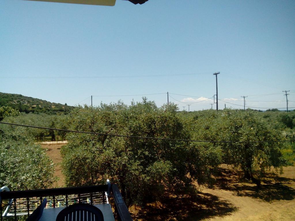Villa Thomi Skala Rachoni  Dış mekan fotoğraf