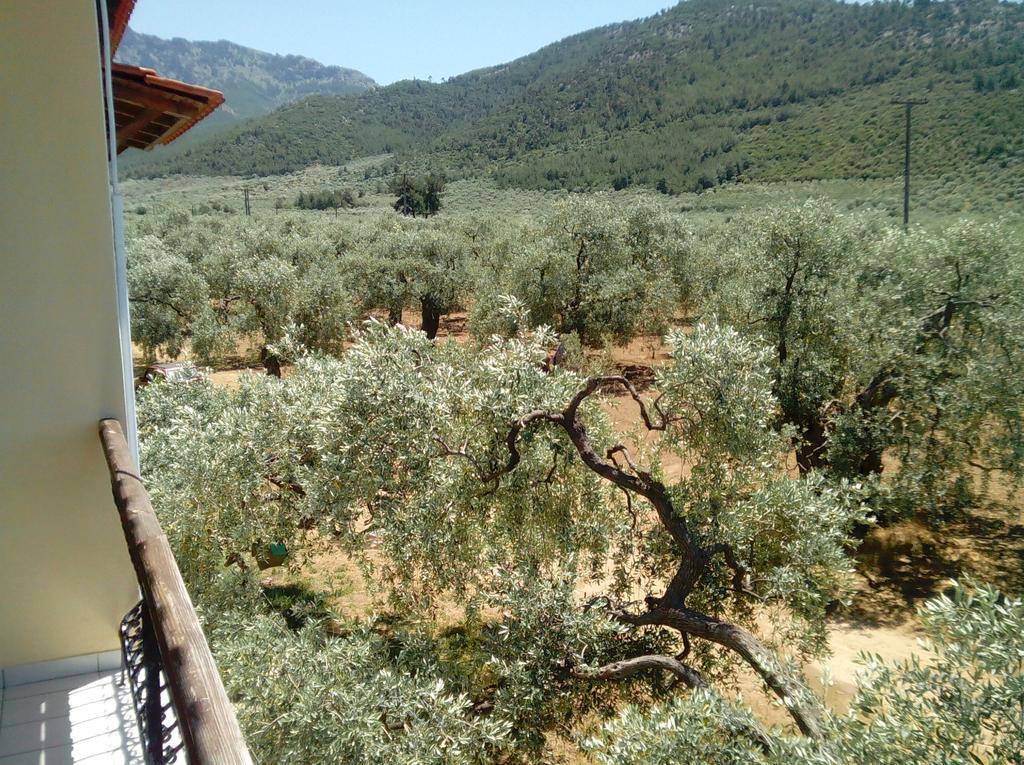 Villa Thomi Skala Rachoni  Dış mekan fotoğraf