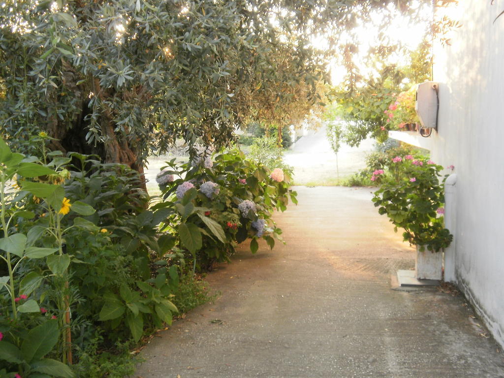 Villa Thomi Skala Rachoni  Dış mekan fotoğraf