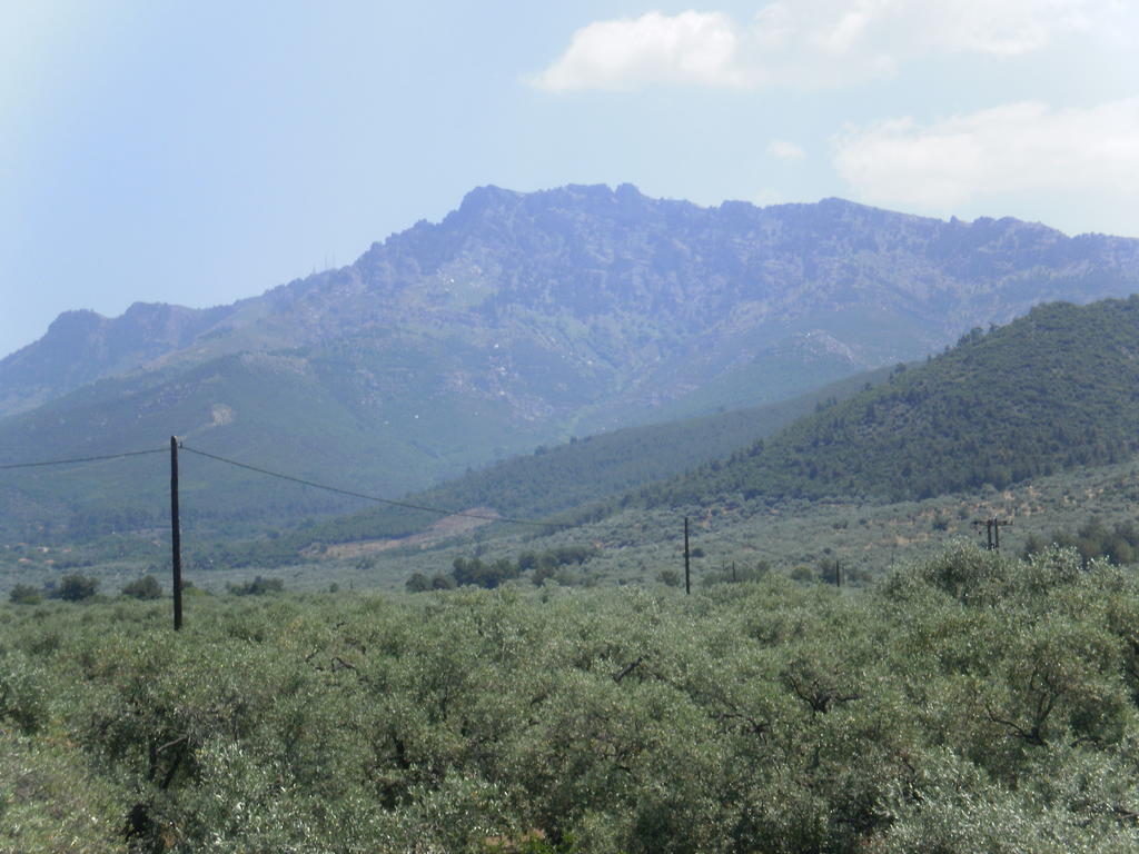 Villa Thomi Skala Rachoni  Dış mekan fotoğraf